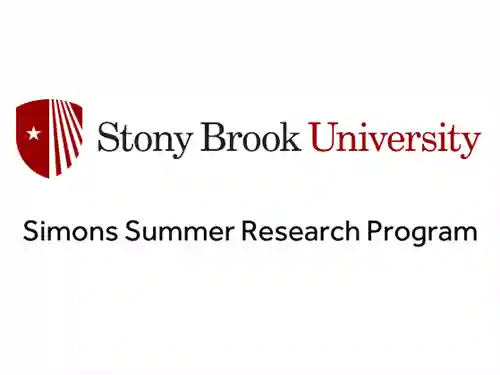 Stony Brook University Simons Summer Research Program
