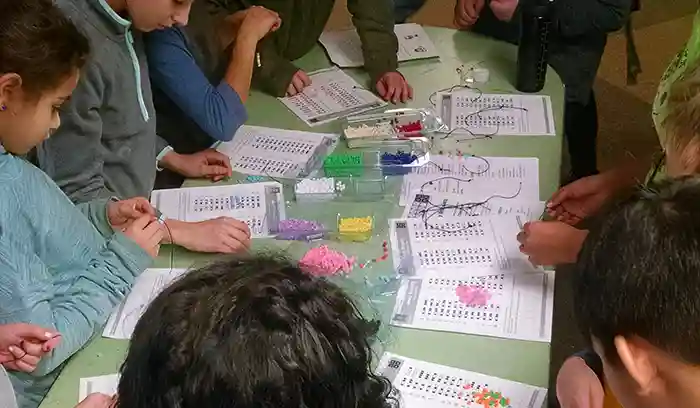 Emma's Ambassador Project