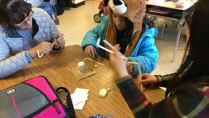 Rose's Ambassador Project