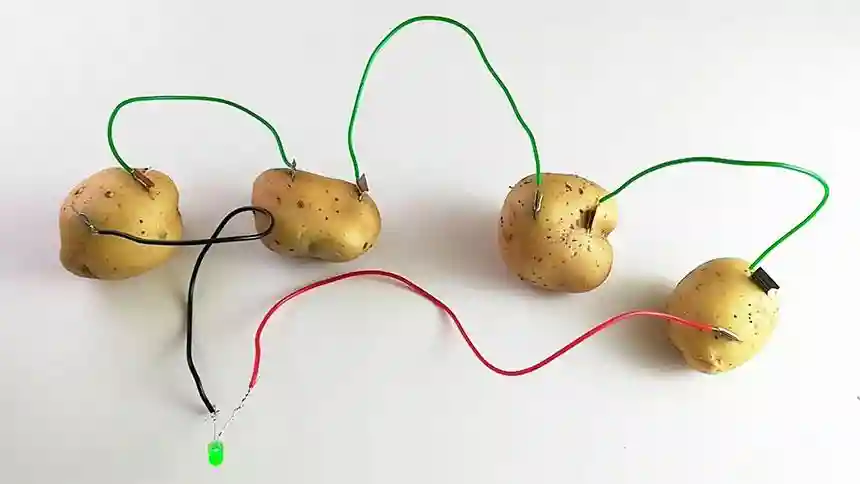 Potato battery