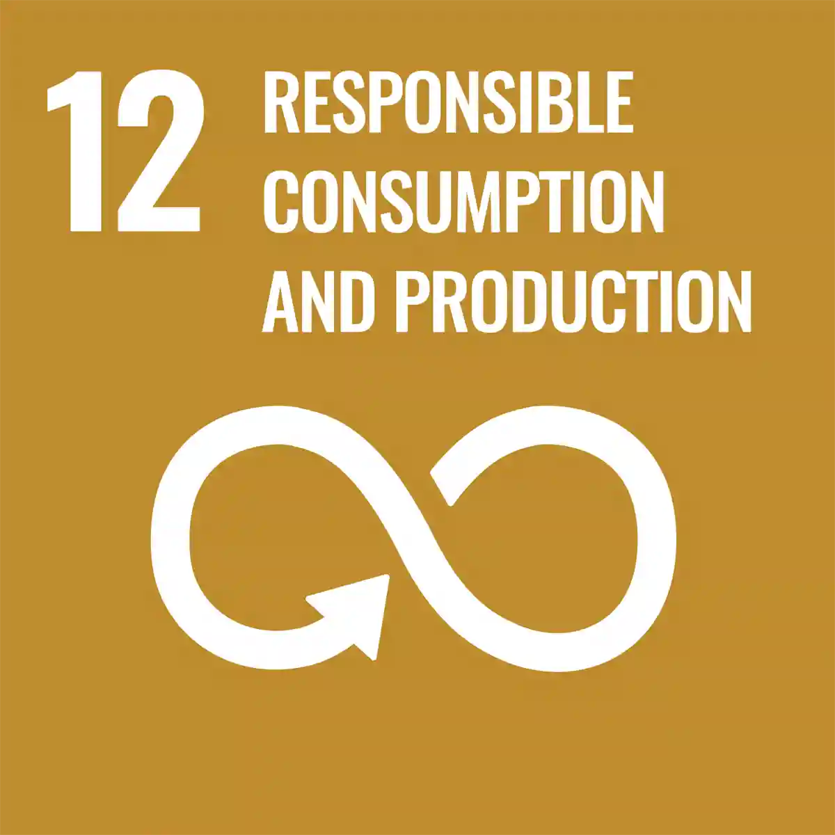 12 Responsible consumption and production icon
