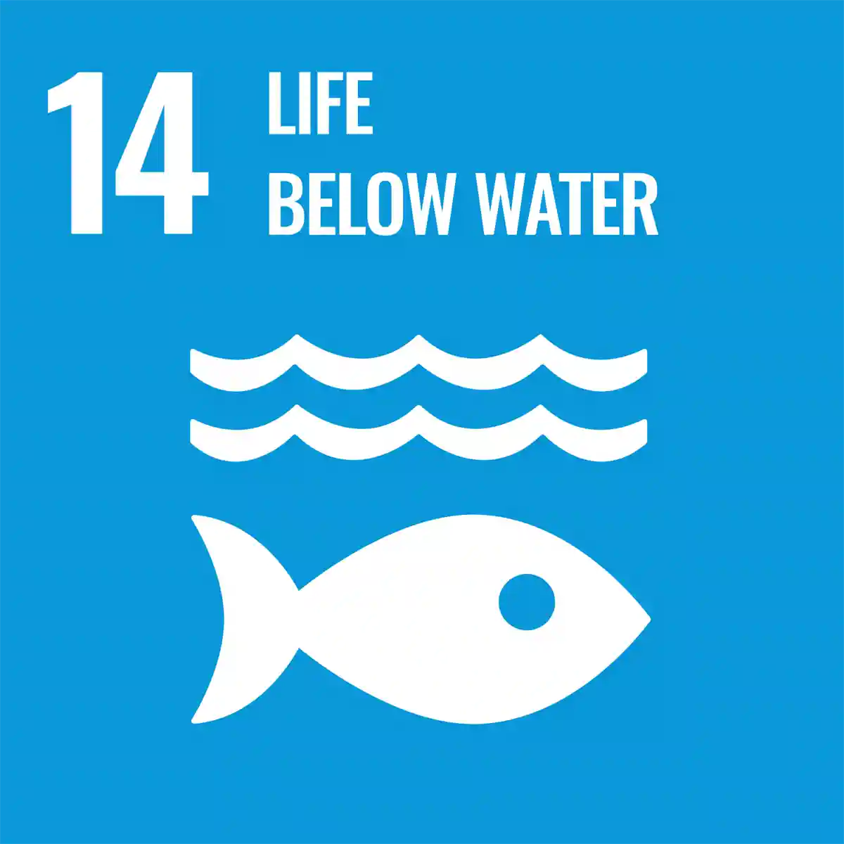 14 Life below water icon