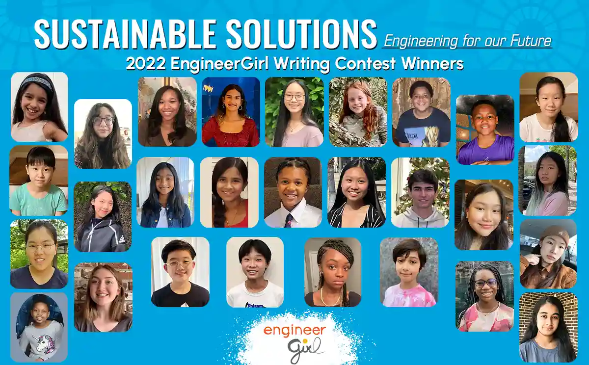 Sustainable Development Winners Collage