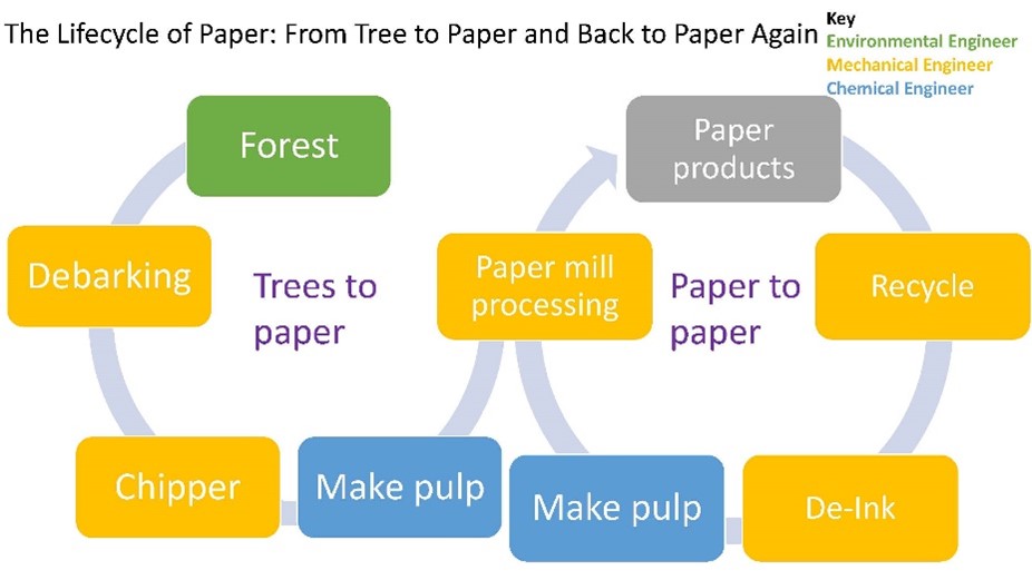 Addie DeMarco Essay Image