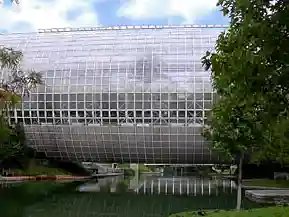 Crystal Bridge