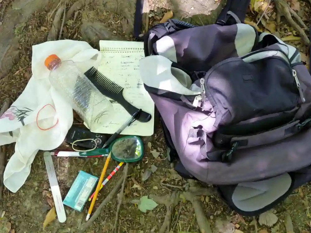 Backpack and design supplies