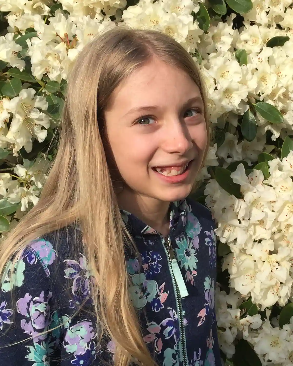 Honorable mention winner photo