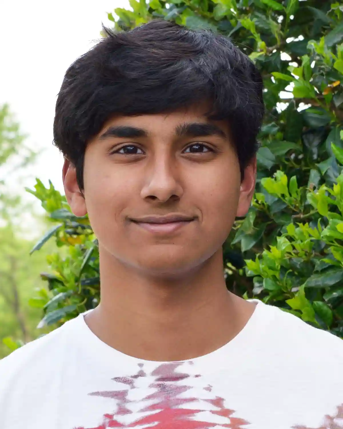 Honorable mention winner photo