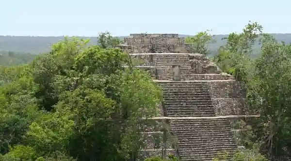 Engineering Discovery