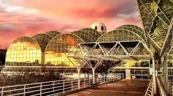 The World in a Bottle